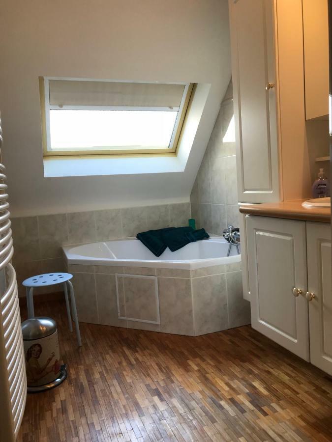 Comfortabel Dakappartement Met Zicht Op Jachthaven Turnhout Bagian luar foto